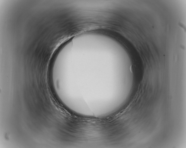 X0000097970579200803241021