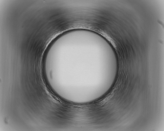 X0000097970580200803241021