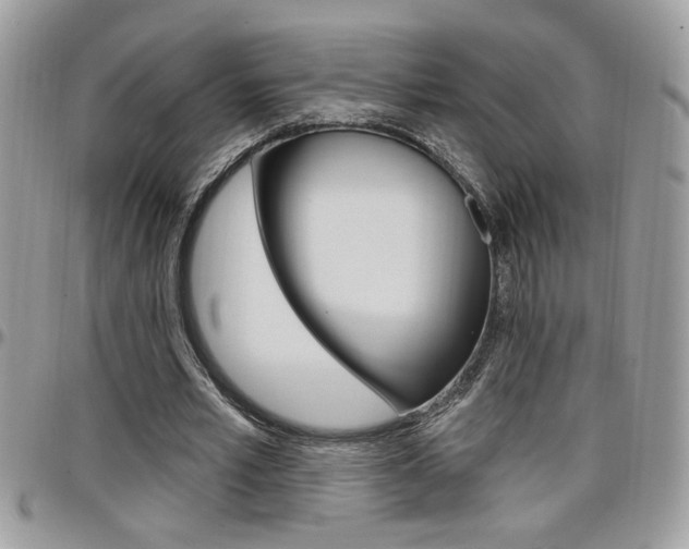 X0000097970581200803241021