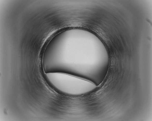 X0000097970584200803241021