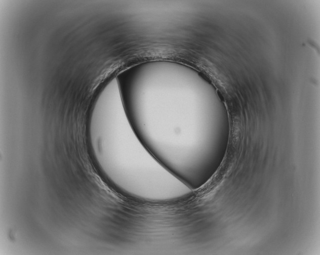X0000097970585200803241021