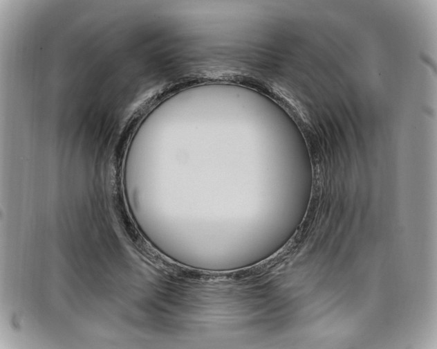 X0000097970587200803241021
