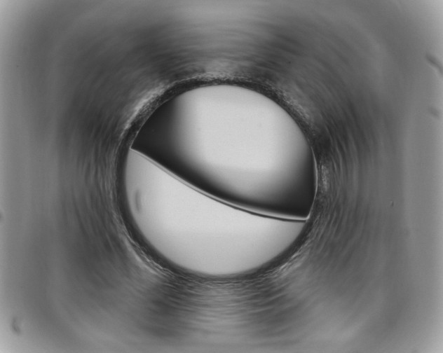 X0000097970588200803241021