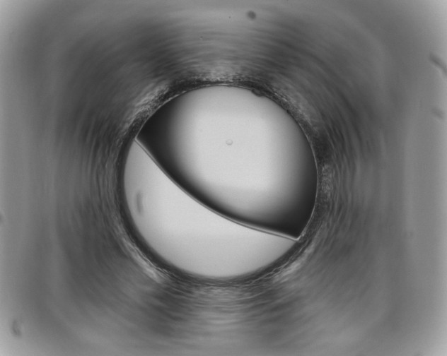 X0000097970589200803241021