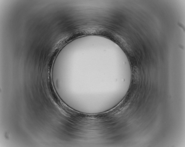 X0000097970590200803241021