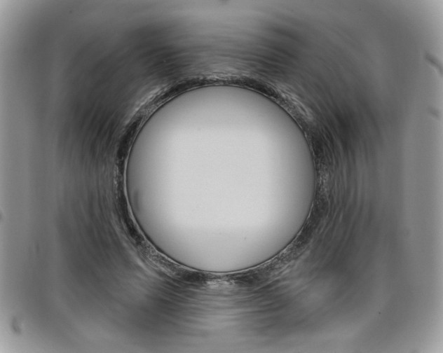 X0000097970591200803241021