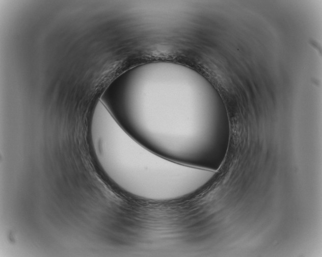 X0000097970593200803241021