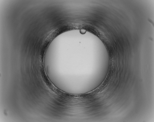 X0000097970594200803241021
