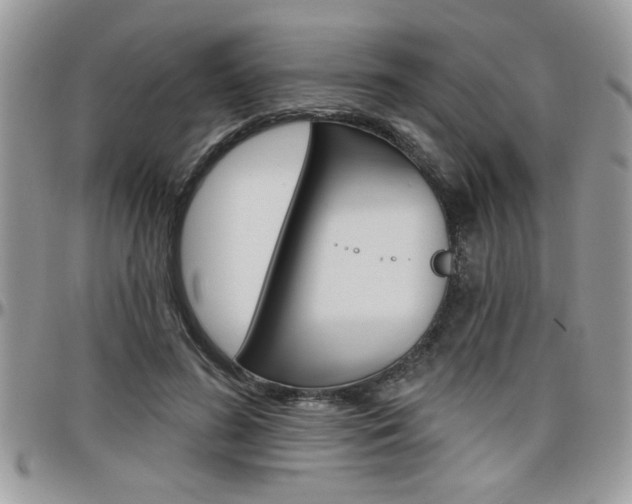 X0000097970596200803241021