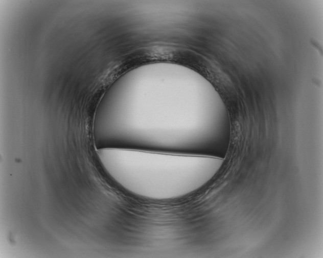 X0000097970600200803241021