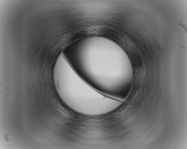 X0000097970601200803241021