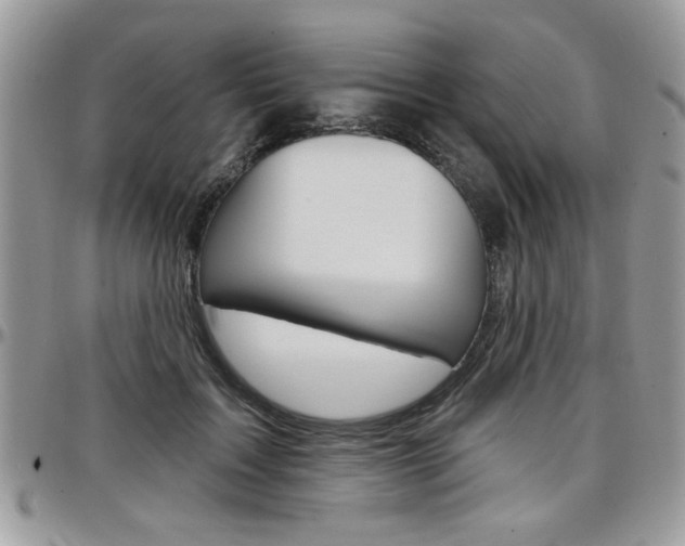 X0000097970603200803241021