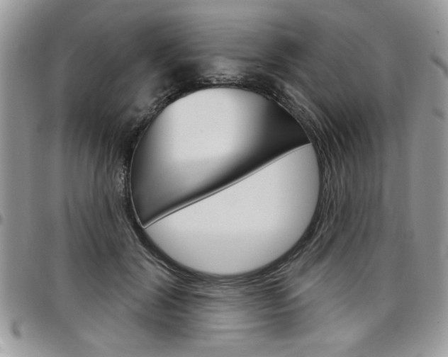 X0000097970604200803241021