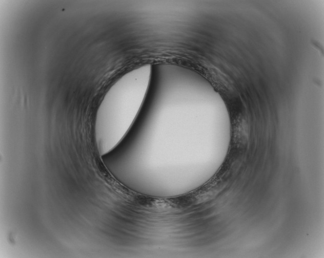 X0000097970608200803241021