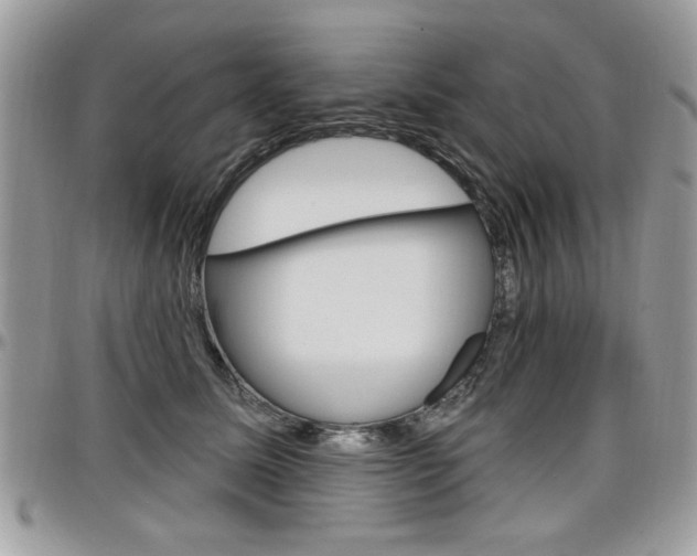 X0000097970611200803241021