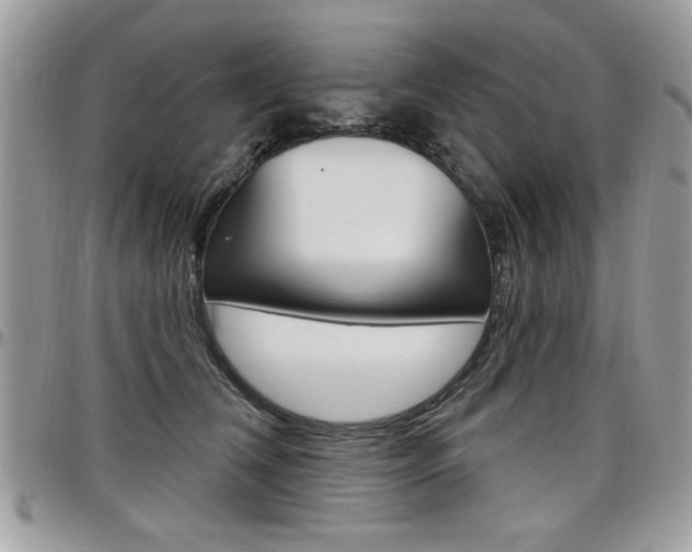 X0000097970612200803241021