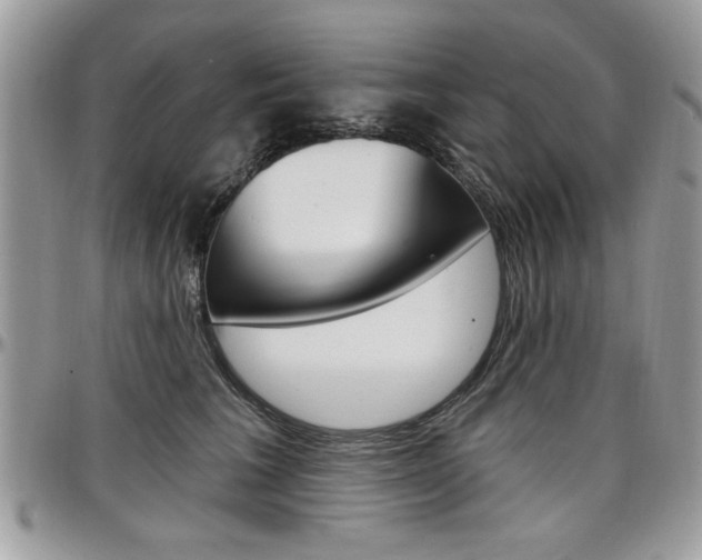 X0000097970613200803241021