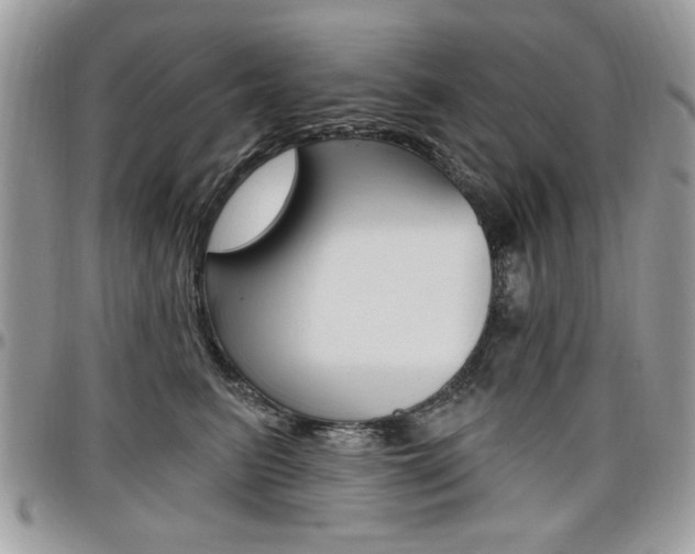X0000097970615200803241021