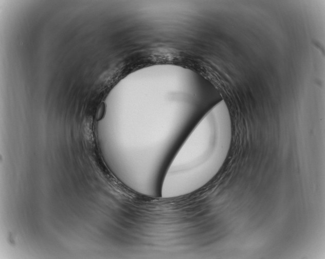X0000097970616200803241021