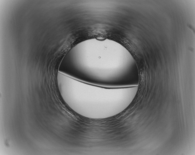 X0000097970617200803241021