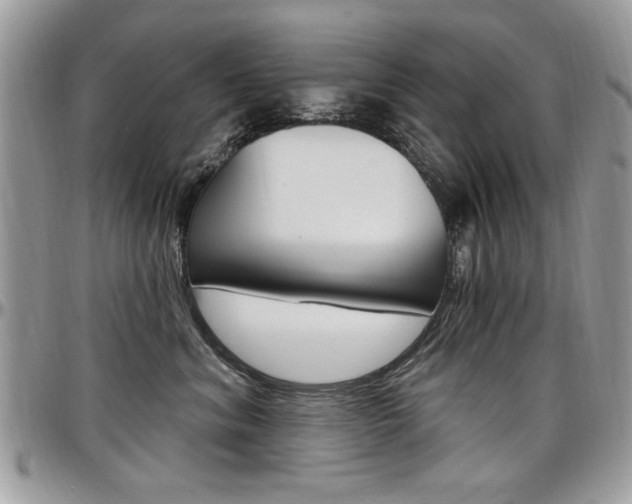 X0000097970620200803241021