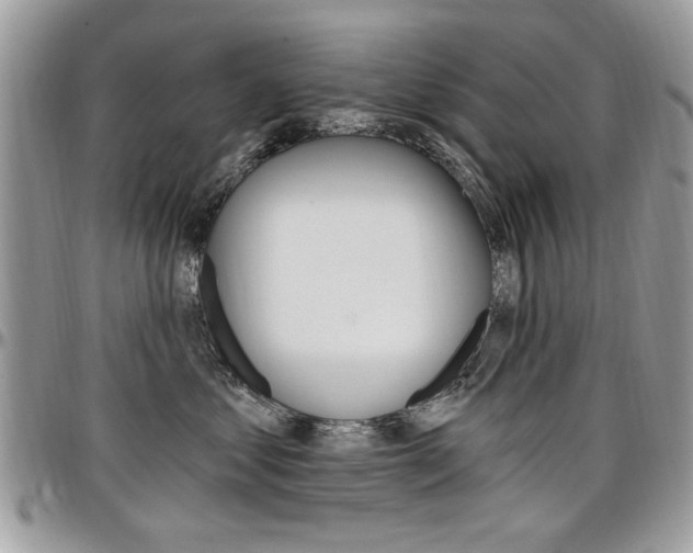 X0000097970621200803241021