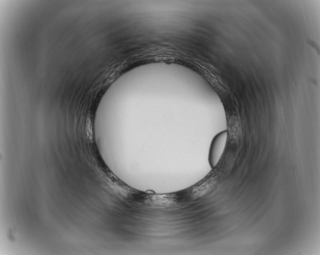 X0000097970622200803241021