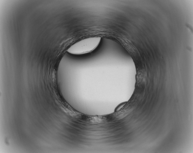 X0000097970623200803241021