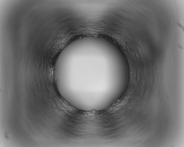X0000097970624200803241021