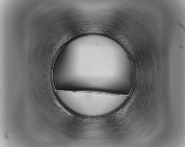 X0000097970625200803241020