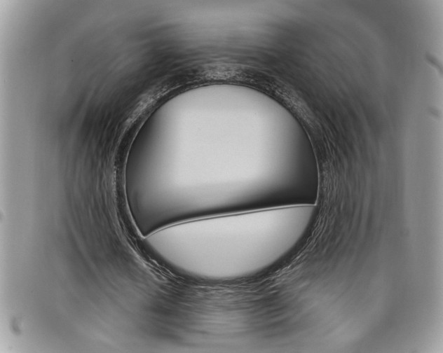 X0000097970626200803241020