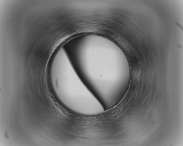 X0000097970628200803241020