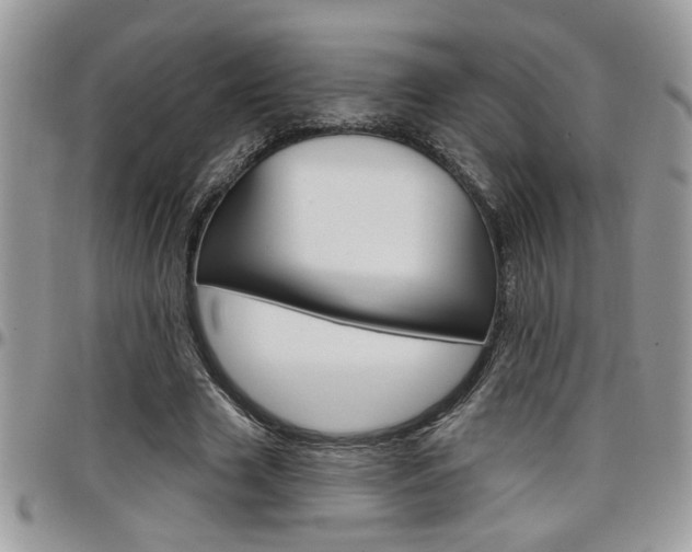 X0000097970633200803241020