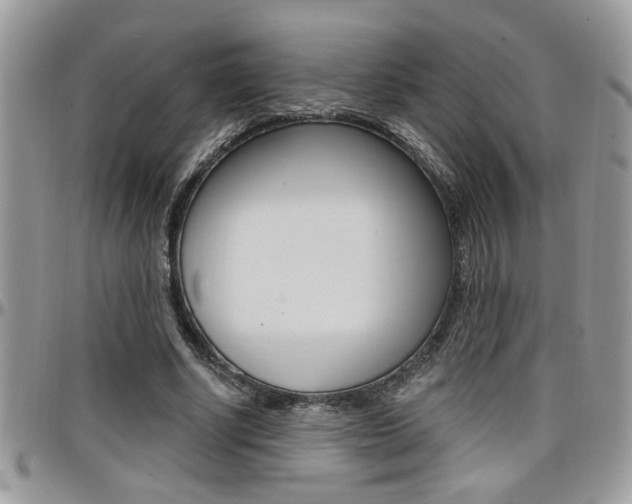X0000097970634200803241020