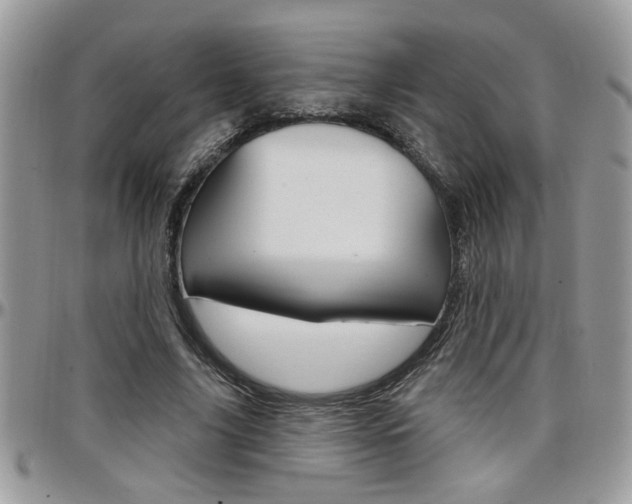 X0000097970635200803241020