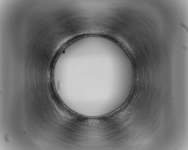 X0000097970636200803241020