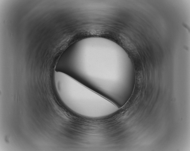 X0000097970639200803241020