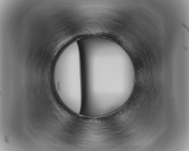 X0000097970640200803241020