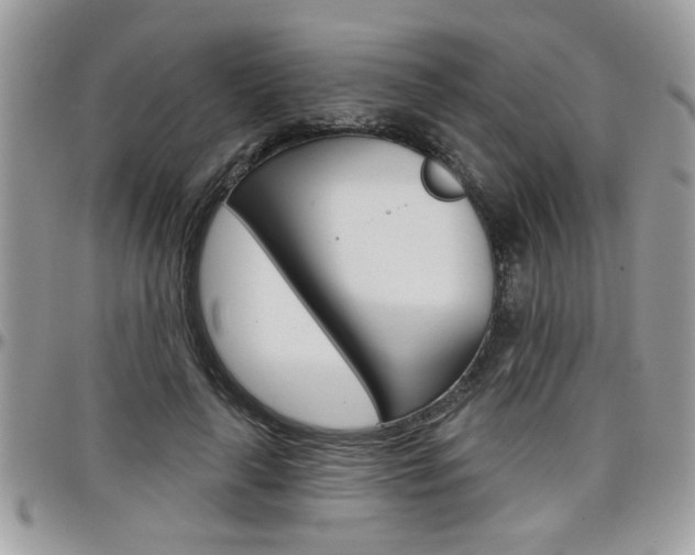 X0000097970643200803241020