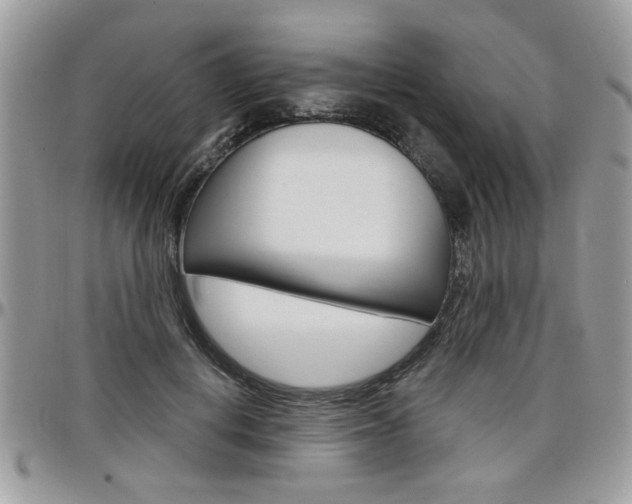 X0000097970648200803241020