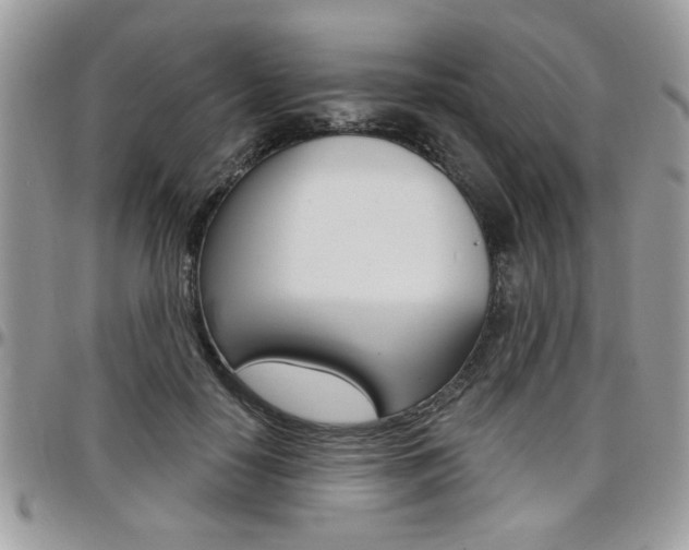 X0000097970650200803241020