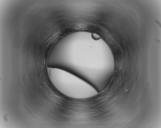 X0000097970652200803241020