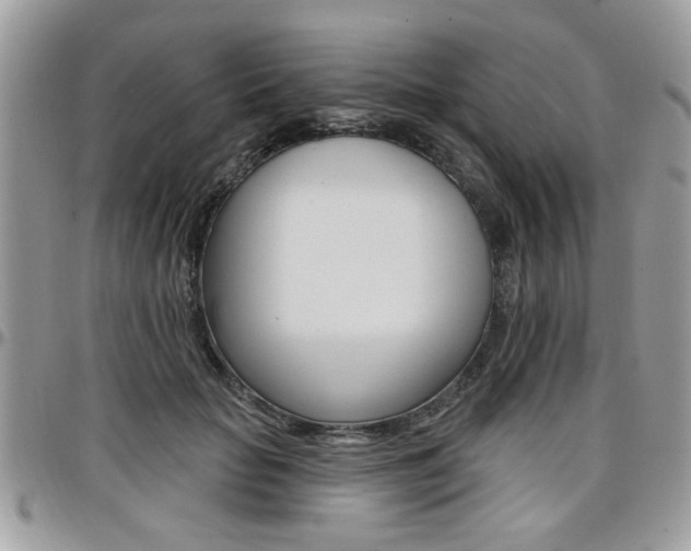 X0000097970653200803241020