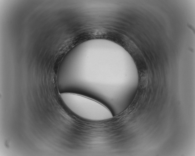 X0000097970654200803241020