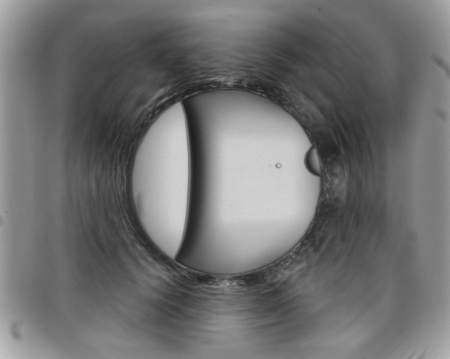 X0000097970656200803241020