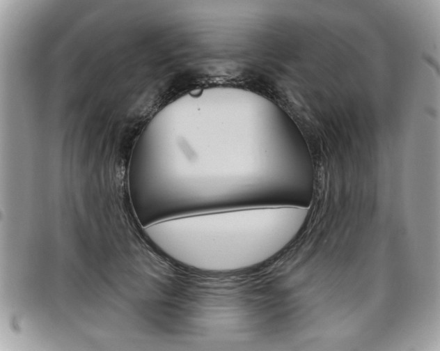 X0000097970657200803241020