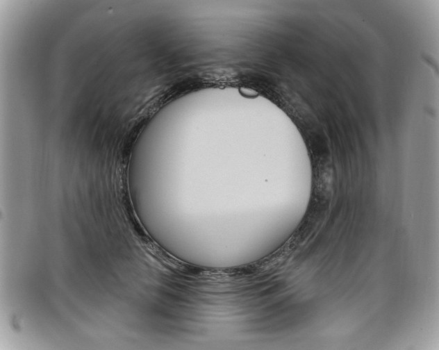 X0000097970658200803241020