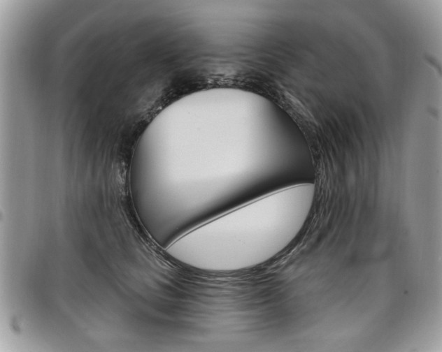 X0000097970661200803241020