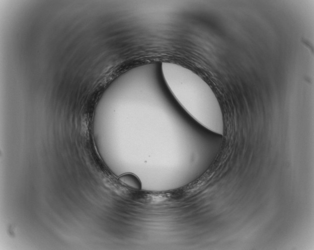 X0000097970662200803241020