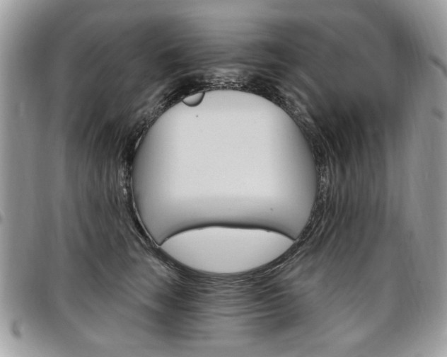 X0000097970663200803241020